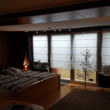 Koln-Bonn Appartment Wesseling Bagian luar foto
